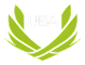 UBA Logo