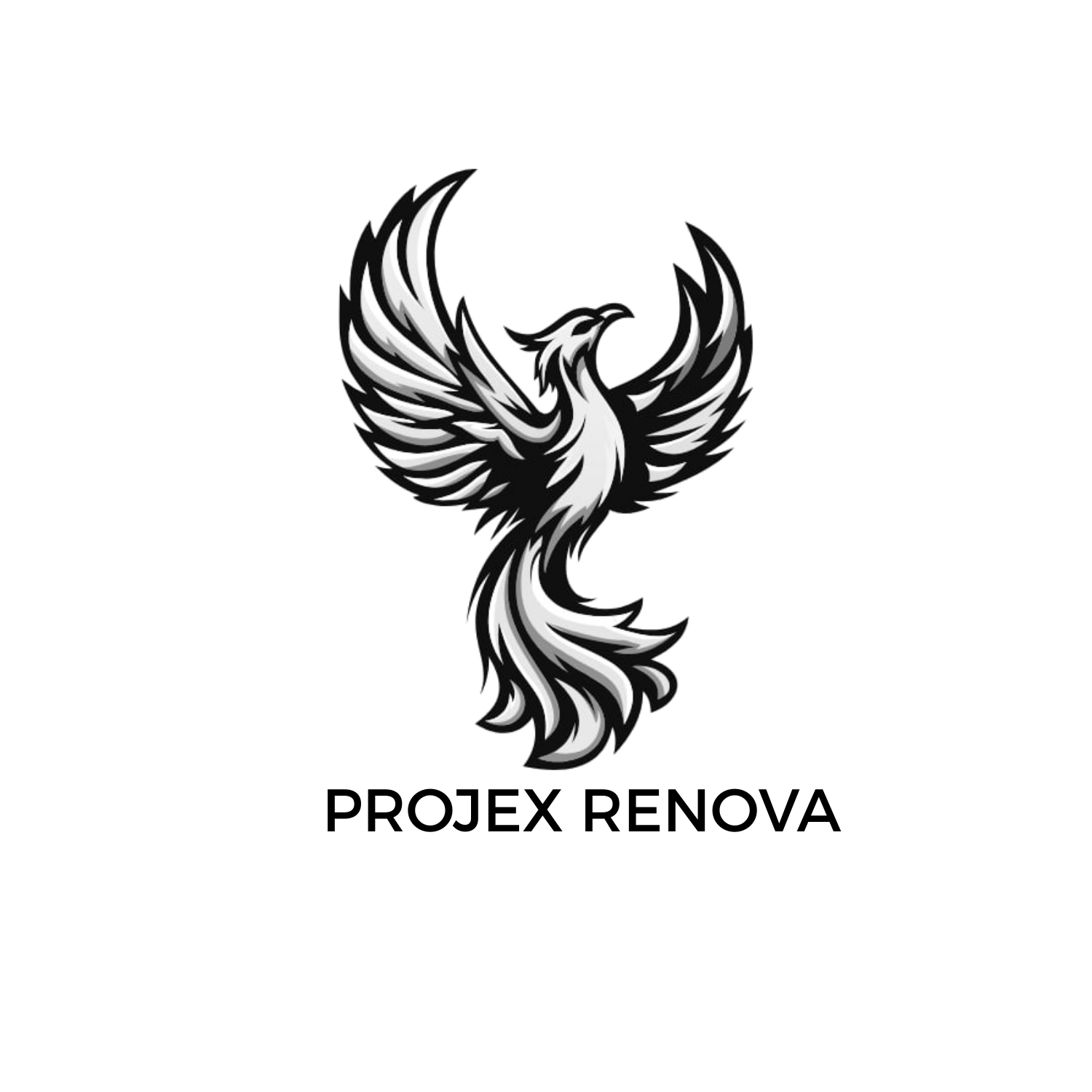PROJECT RENOVA